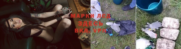 прущая мука Арсеньев