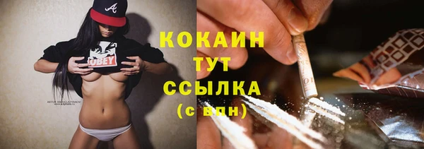 амф Аркадак