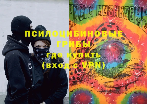 прущая мука Арсеньев