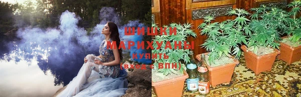 прущая мука Арсеньев