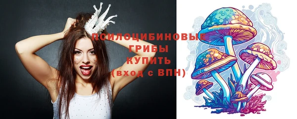 амф Аркадак